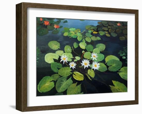 Water Lilies-kirilstanchev-Framed Art Print