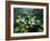 Water Lilies-kirilstanchev-Framed Art Print