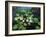 Water Lilies-kirilstanchev-Framed Art Print