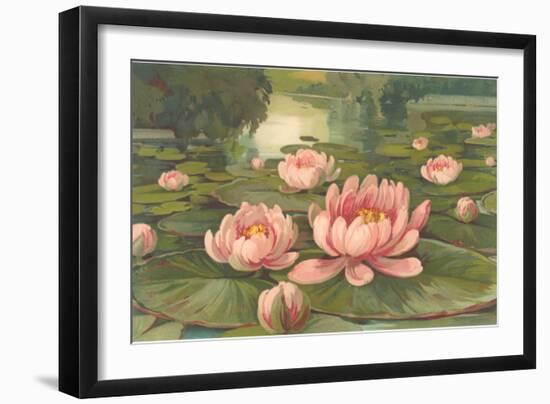 Water Lilies-null-Framed Art Print