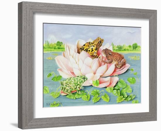 Water Lily, 1998-E.B. Watts-Framed Giclee Print