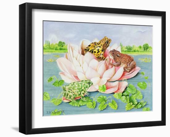 Water Lily, 1998-E.B. Watts-Framed Giclee Print