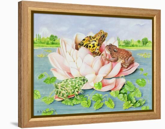 Water Lily, 1998-E.B. Watts-Framed Premier Image Canvas