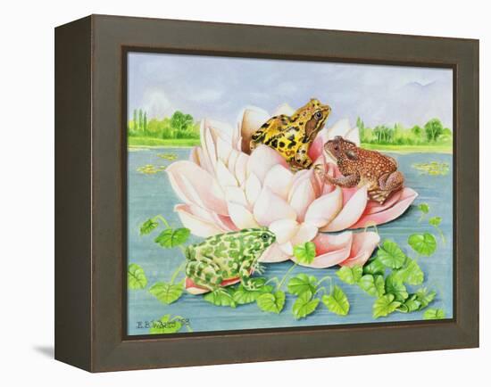 Water Lily, 1998-E.B. Watts-Framed Premier Image Canvas