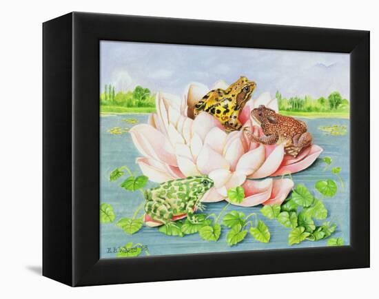 Water Lily, 1998-E.B. Watts-Framed Premier Image Canvas