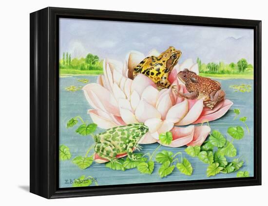 Water Lily, 1998-E.B. Watts-Framed Premier Image Canvas