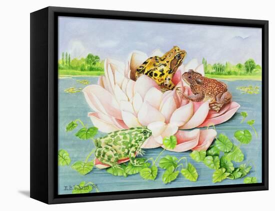 Water Lily, 1998-E.B. Watts-Framed Premier Image Canvas