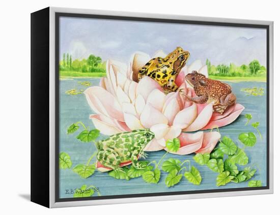 Water Lily, 1998-E.B. Watts-Framed Premier Image Canvas