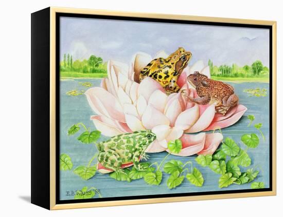 Water Lily, 1998-E.B. Watts-Framed Premier Image Canvas