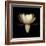 Water Lily A11: pink & white water lily-Doris Mitsch-Framed Photographic Print