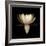 Water Lily A11: pink & white water lily-Doris Mitsch-Framed Photographic Print