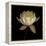 Water Lily A12 Water Lily Blooming-Doris Mitsch-Framed Premier Image Canvas