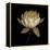 Water Lily A12 Water Lily Blooming-Doris Mitsch-Framed Premier Image Canvas