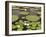 Water Lily and Lily Pad Pond, Longwood Gardens, Pennsylvania, Usa-Adam Jones-Framed Photographic Print