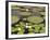 Water Lily and Lily Pad Pond, Longwood Gardens, Pennsylvania, Usa-Adam Jones-Framed Photographic Print