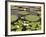 Water Lily and Lily Pad Pond, Longwood Gardens, Pennsylvania, Usa-Adam Jones-Framed Photographic Print