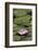 Water Lily at Rapaura Water Gardens-Stuart-Framed Photographic Print