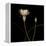 Water Lily D: Rising Water Lily-Doris Mitsch-Framed Premier Image Canvas