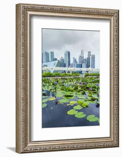 Water Lily Garden by the Artscience Museum with City Skyline Beyond, Marina Bay, Singapore-Fraser Hall-Framed Photographic Print