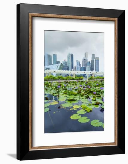 Water Lily Garden by the Artscience Museum with City Skyline Beyond, Marina Bay, Singapore-Fraser Hall-Framed Photographic Print