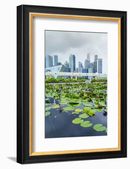 Water Lily Garden by the Artscience Museum with City Skyline Beyond, Marina Bay, Singapore-Fraser Hall-Framed Photographic Print