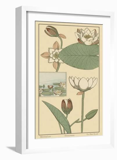 Water Lily I-M. P. Verneuil-Framed Art Print