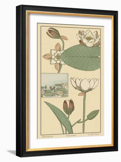 Water Lily I-M. P. Verneuil-Framed Art Print