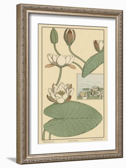 Water Lily II-M. P. Verneuil-Framed Art Print