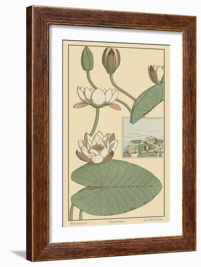 Water Lily II-M. P. Verneuil-Framed Art Print