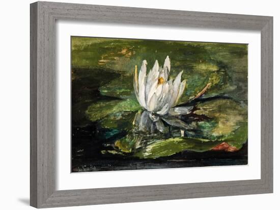 Water Lily in Sunlight, 1881-John La Farge-Framed Giclee Print