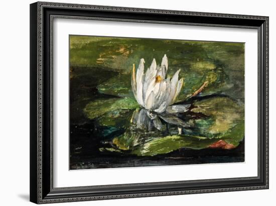 Water Lily in Sunlight, 1881-John La Farge-Framed Giclee Print