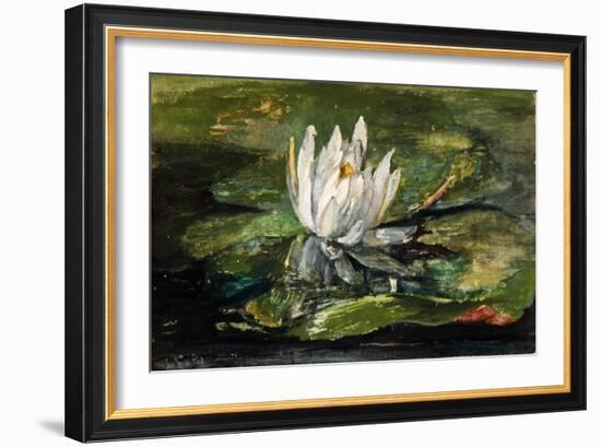 Water Lily in Sunlight, 1881-John La Farge-Framed Giclee Print