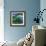 Water Lily Somnolence, 2010-Patricia Brintle-Framed Giclee Print displayed on a wall