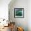 Water Lily Somnolence, 2010-Patricia Brintle-Framed Giclee Print displayed on a wall