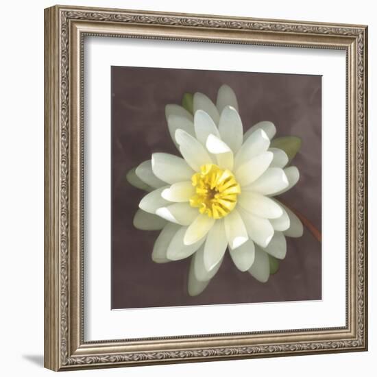 Water Lily-Erin Clark-Framed Art Print