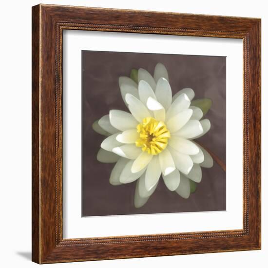 Water Lily-Erin Clark-Framed Art Print