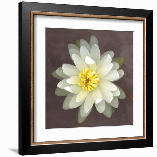 Water Lily-Erin Clark-Framed Art Print