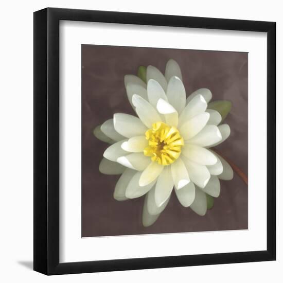 Water Lily-Erin Clark-Framed Art Print