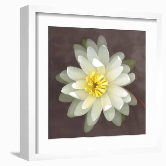 Water Lily-Erin Clark-Framed Art Print