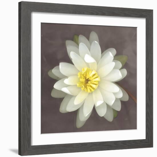 Water Lily-Erin Clark-Framed Giclee Print