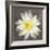 Water Lily-Erin Clark-Framed Giclee Print