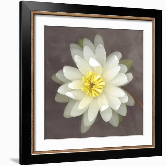Water Lily-Erin Clark-Framed Giclee Print