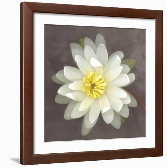 Water Lily-Erin Clark-Framed Giclee Print