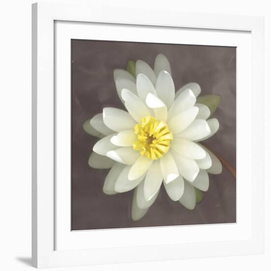 Water Lily-Erin Clark-Framed Giclee Print