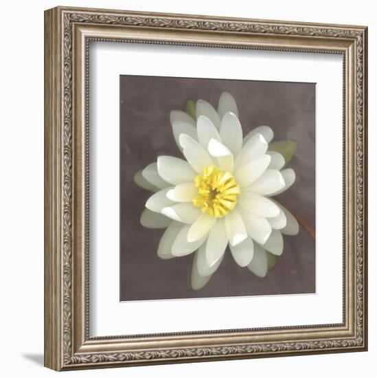 Water Lily-Erin Clark-Framed Art Print