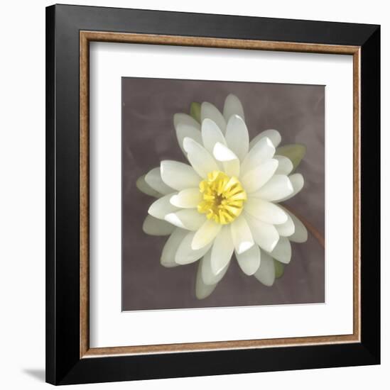 Water Lily-Erin Clark-Framed Art Print