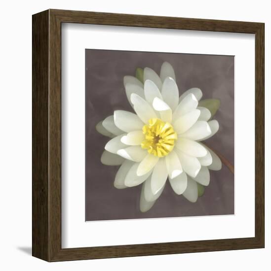 Water Lily-Erin Clark-Framed Art Print