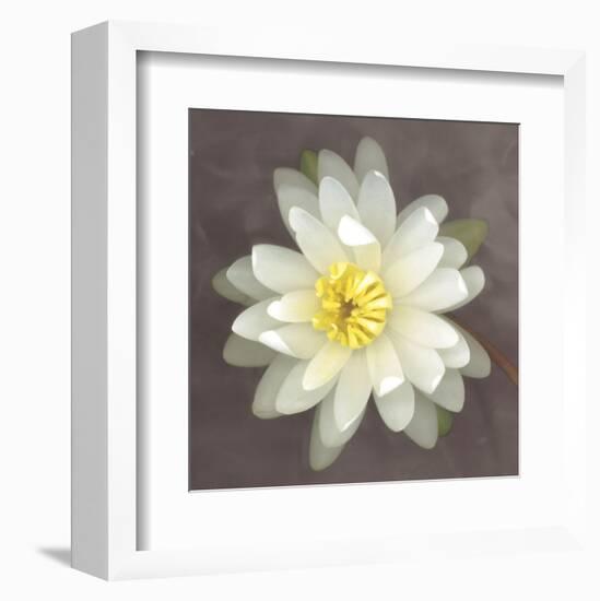 Water Lily-Erin Clark-Framed Art Print