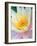 Water Lily-Jim Christensen-Framed Photographic Print