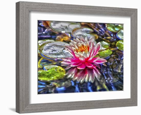 Water Lily-Toula Mavridou-Messer-Framed Giclee Print